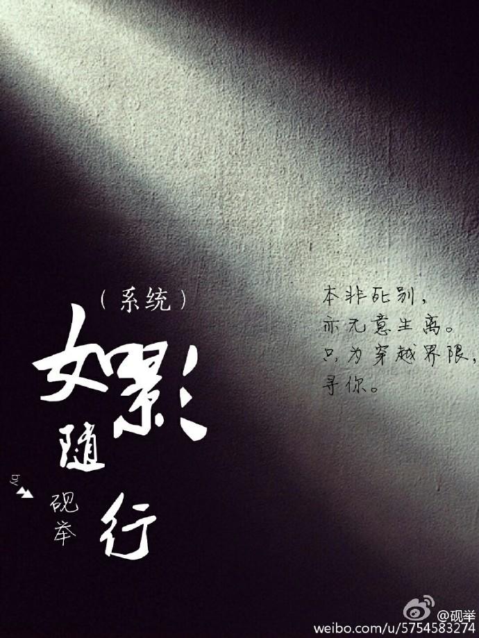 我的总裁夫人
