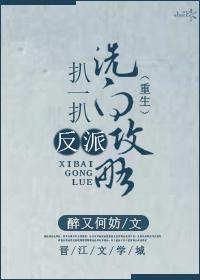 反派洗白攻略晋江