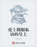 皇上微服私访被收费