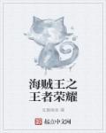 穿越海贼王之王者荣耀系统