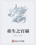 重生之官场