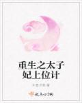 重生之太子妃