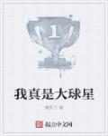 我是大球星顶点