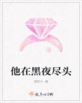 他在黑夜款款而行