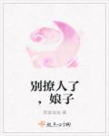 别撩啦费阅读