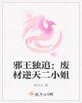 邪王追妻之废材逆天小姐