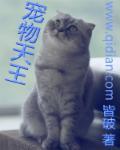 宠物天王张子安妻子会是谁