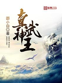 真武巅峰