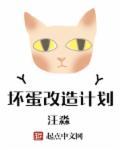 坏蛋2