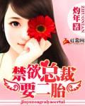 总裁为猛生二胎