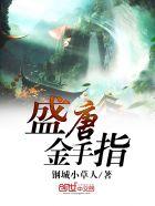 盛唐攻略全文免费阅读