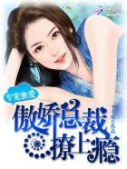 总裁专宠妻
