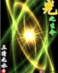 生命之光的价格