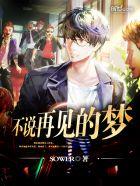 不说再见什么