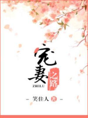 宠妻之路晋江