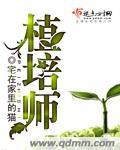 植培师作者宅在家里的猫