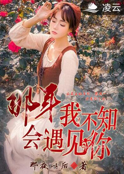 我不知会遇见你1987谁是宝藏歌手