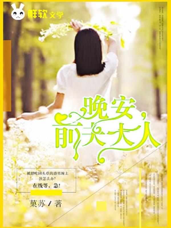 前夫大人求放过免费阅读语音