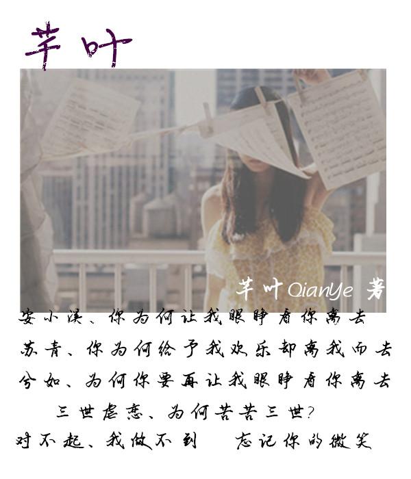 千叶草图片