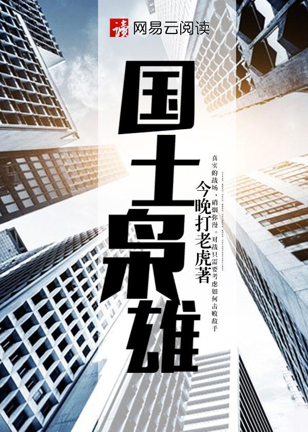 国士枭雄电视剧完整版