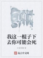 我一棍子下去你可能会死夜阑