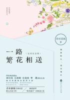 一路繁花相送电视剧