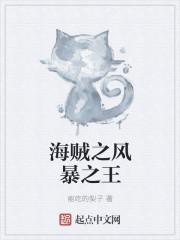 海贼之风暴剑豪