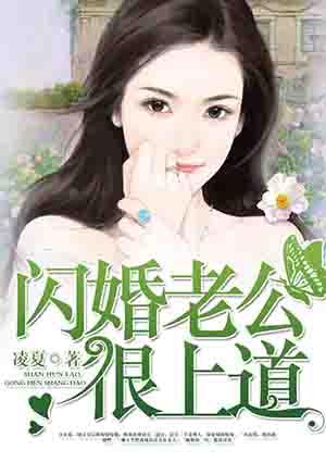 闪婚老公很上道全文阅读