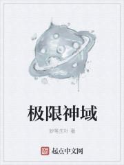 极限神域sans图片