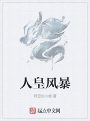 人皇fly