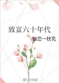 六零年代发家致富