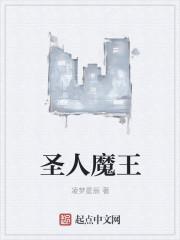 圣魔王等级划分