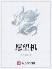 愿望机抽奖