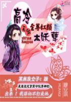 至尊红颜王贵妃