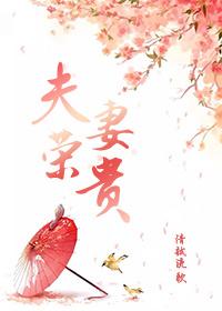 夫荣妻贵清越流歌by清越流歌