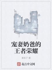 宠妻奶爸作品