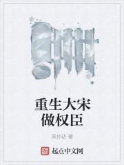 大宋绝世权臣