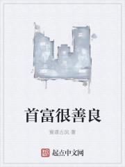 首富是啥意思