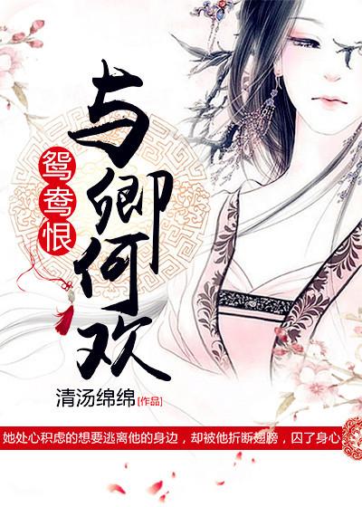 鸳鸯恨与卿何欢第二部