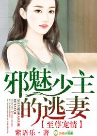 至尊宠情,邪魅少主的逃妻